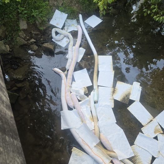 Absorbent pads and boom containing oil in a stream during spill response