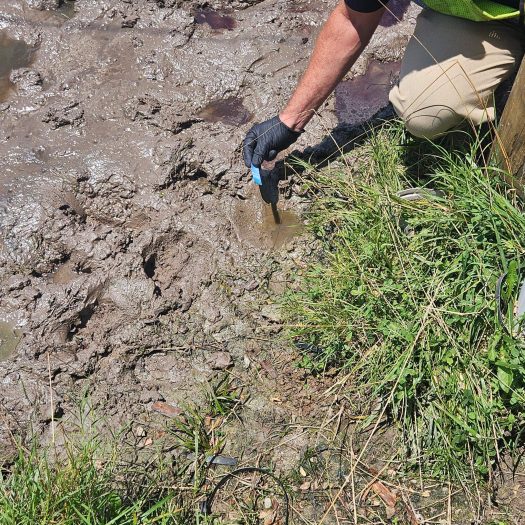C2G technician testing pH levels of muddy water during environmental cleanup