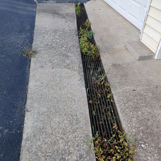 Storm drain grate clogged with dirt weeds and debris